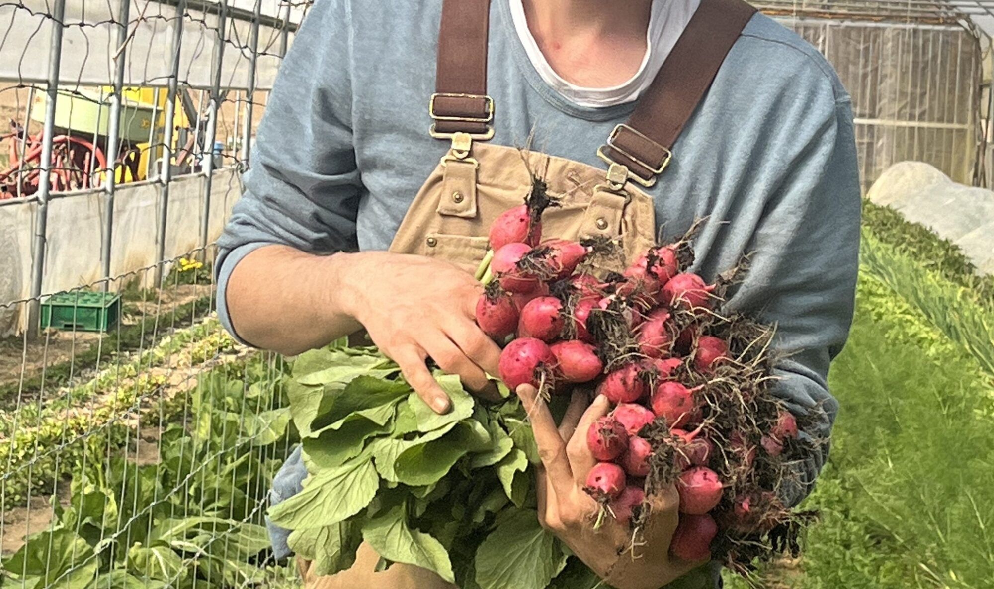 Mitarbeiter bei Landwirtschaft Ackersch&ouml;n