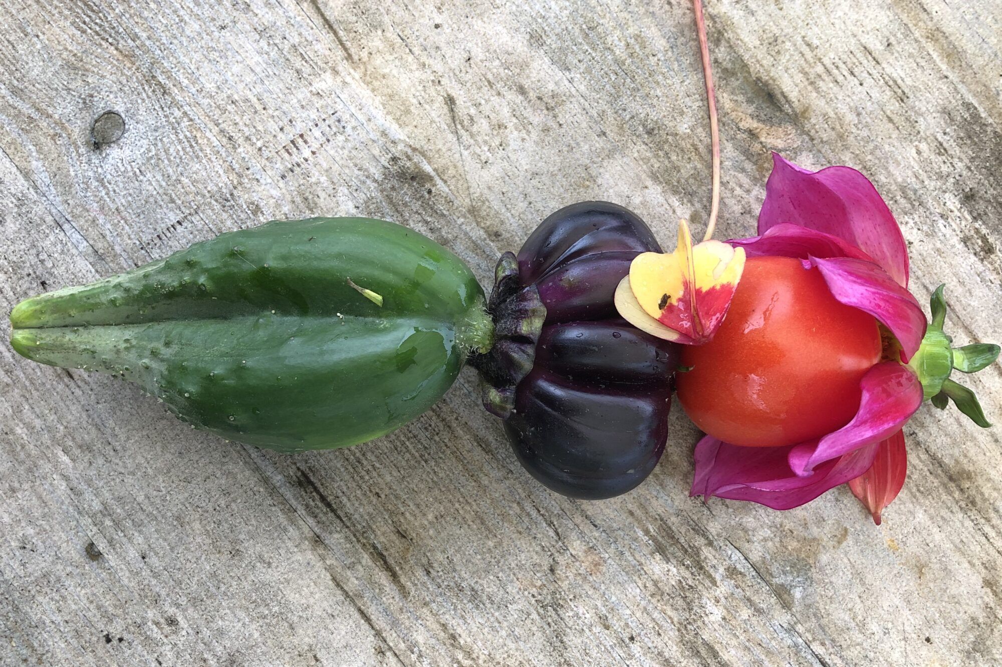 Gem&uuml;se und Fr&uuml;chte von Ackersch&ouml;n
